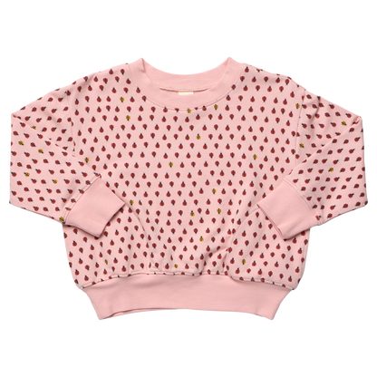 Play Sweatshirt - Mini Ladybugs
