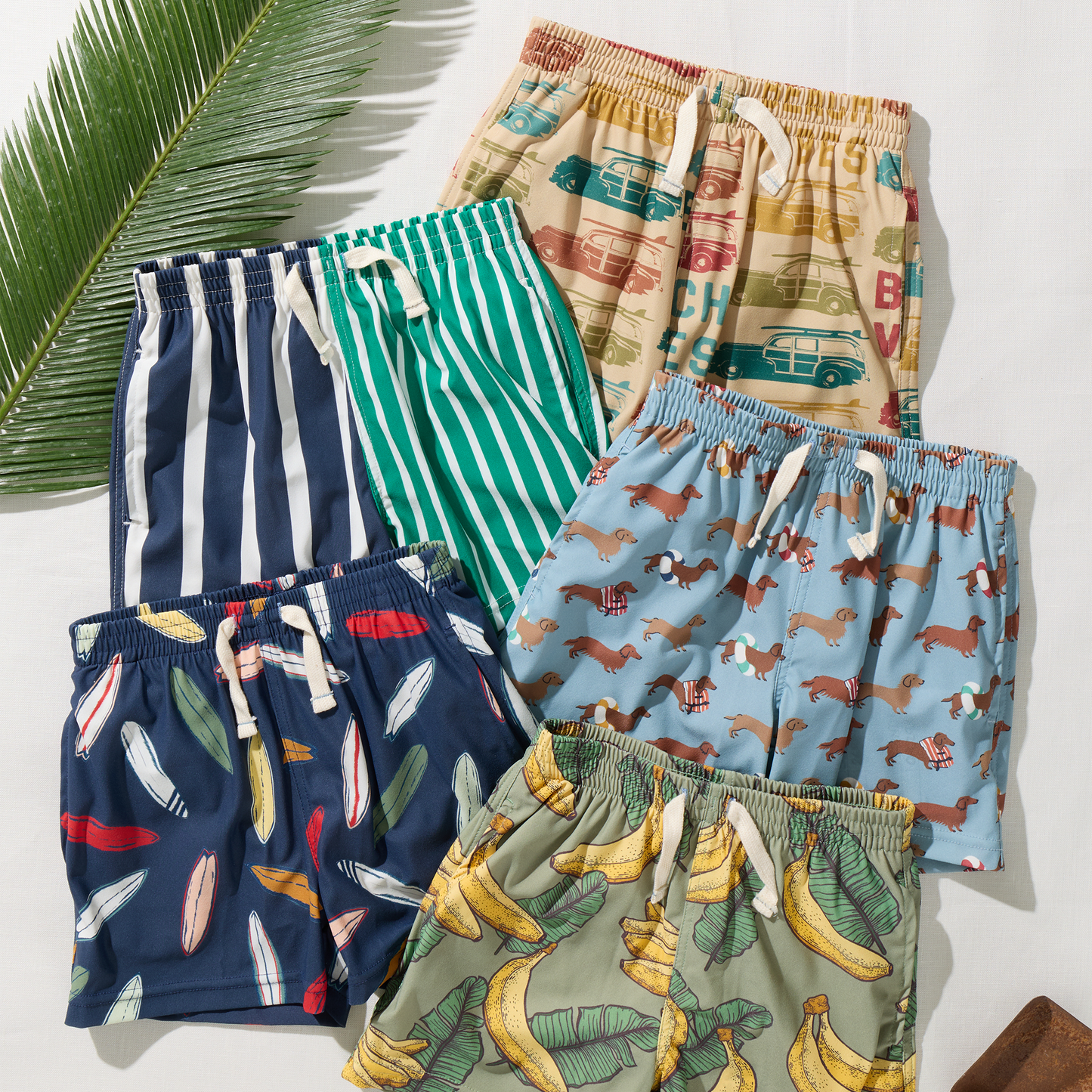 Baby Boys Swim Trunk - Swim Dachshunds