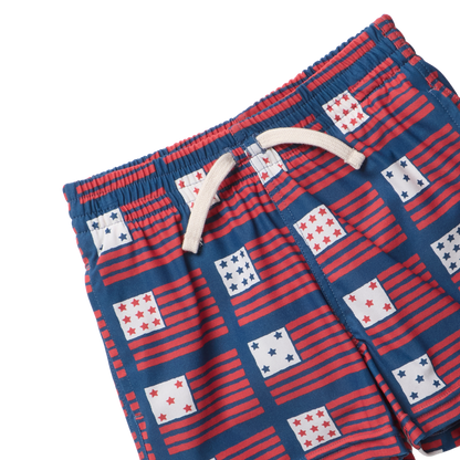 Boys Swim Trunk - Navy Flag