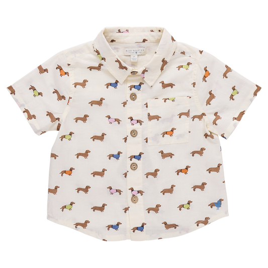 Boys Jack Shirt - Dachshunds In Sweaters