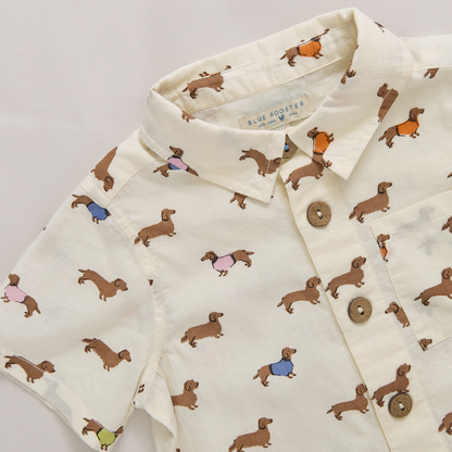 Boys Jack Shirt - Dachshunds In Sweaters