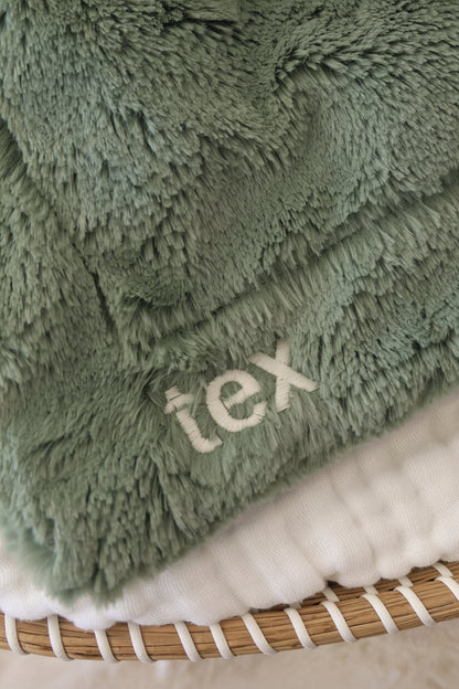Cuddle Plush Friends Lovey | Tex T-Rex